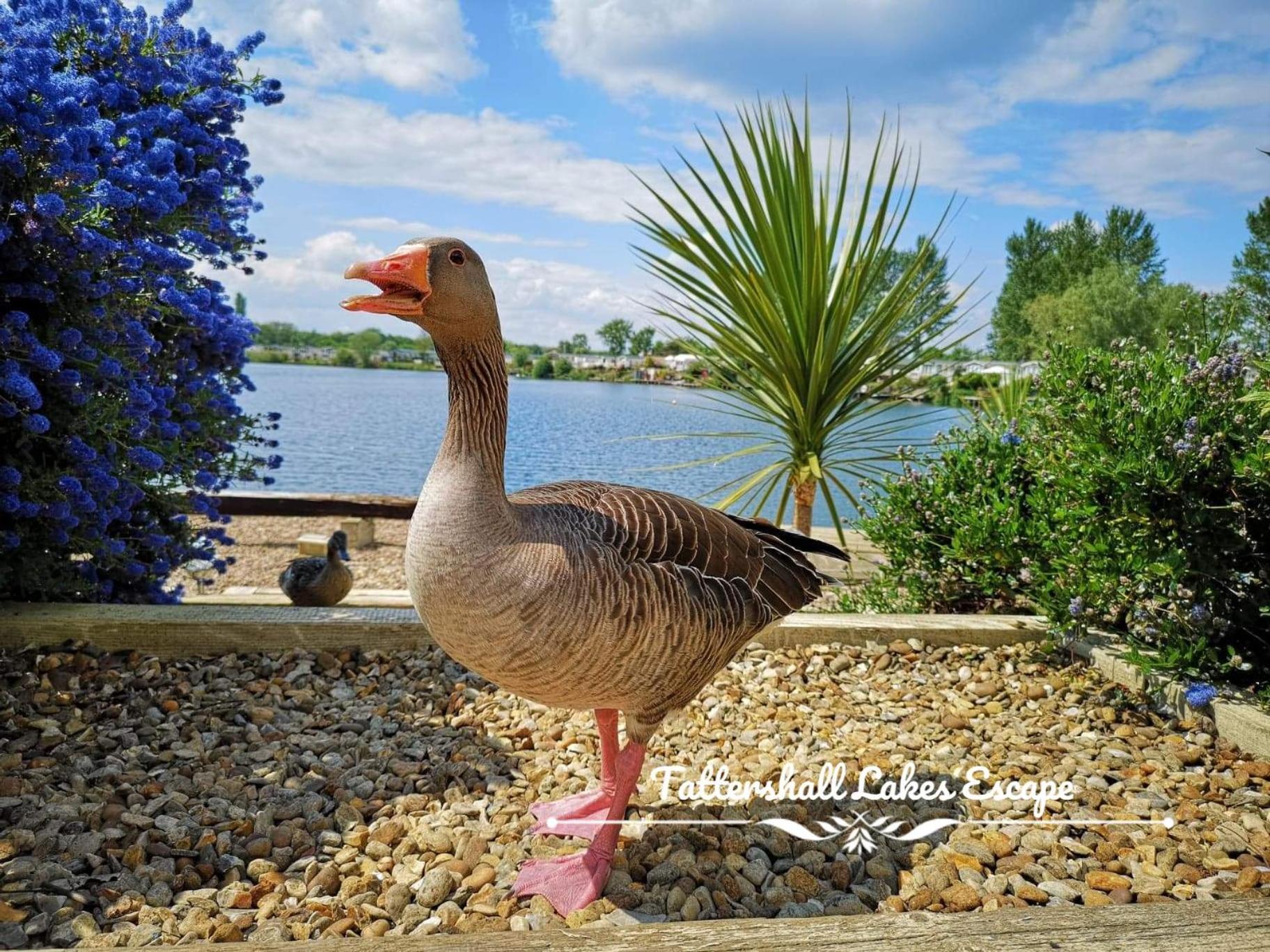 Meridian Tattershall Lakes Escape - Lakeside Lodge Caravan With A Fishing Peg Luxury Hot Tub エクステリア 写真