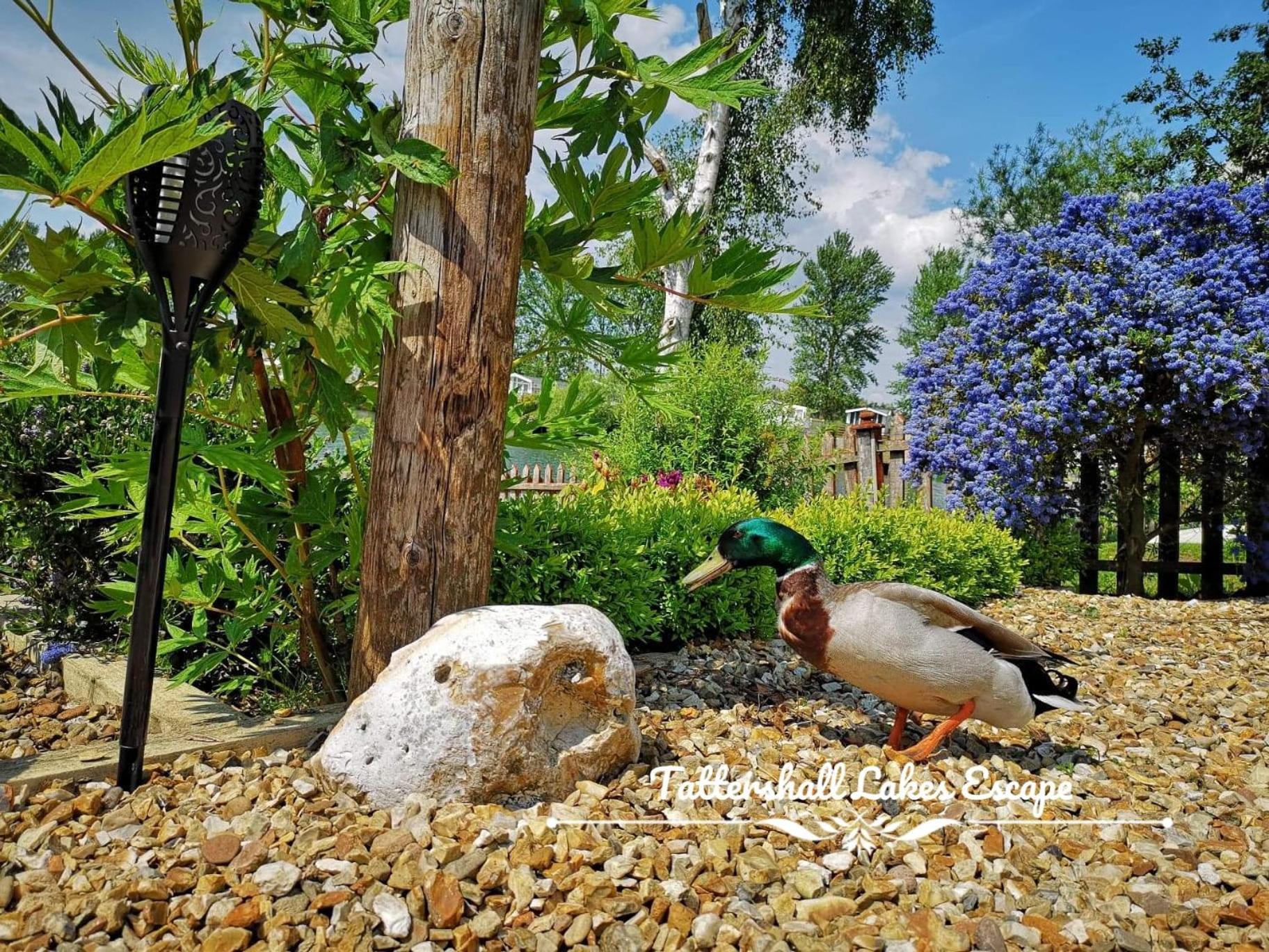 Meridian Tattershall Lakes Escape - Lakeside Lodge Caravan With A Fishing Peg Luxury Hot Tub エクステリア 写真